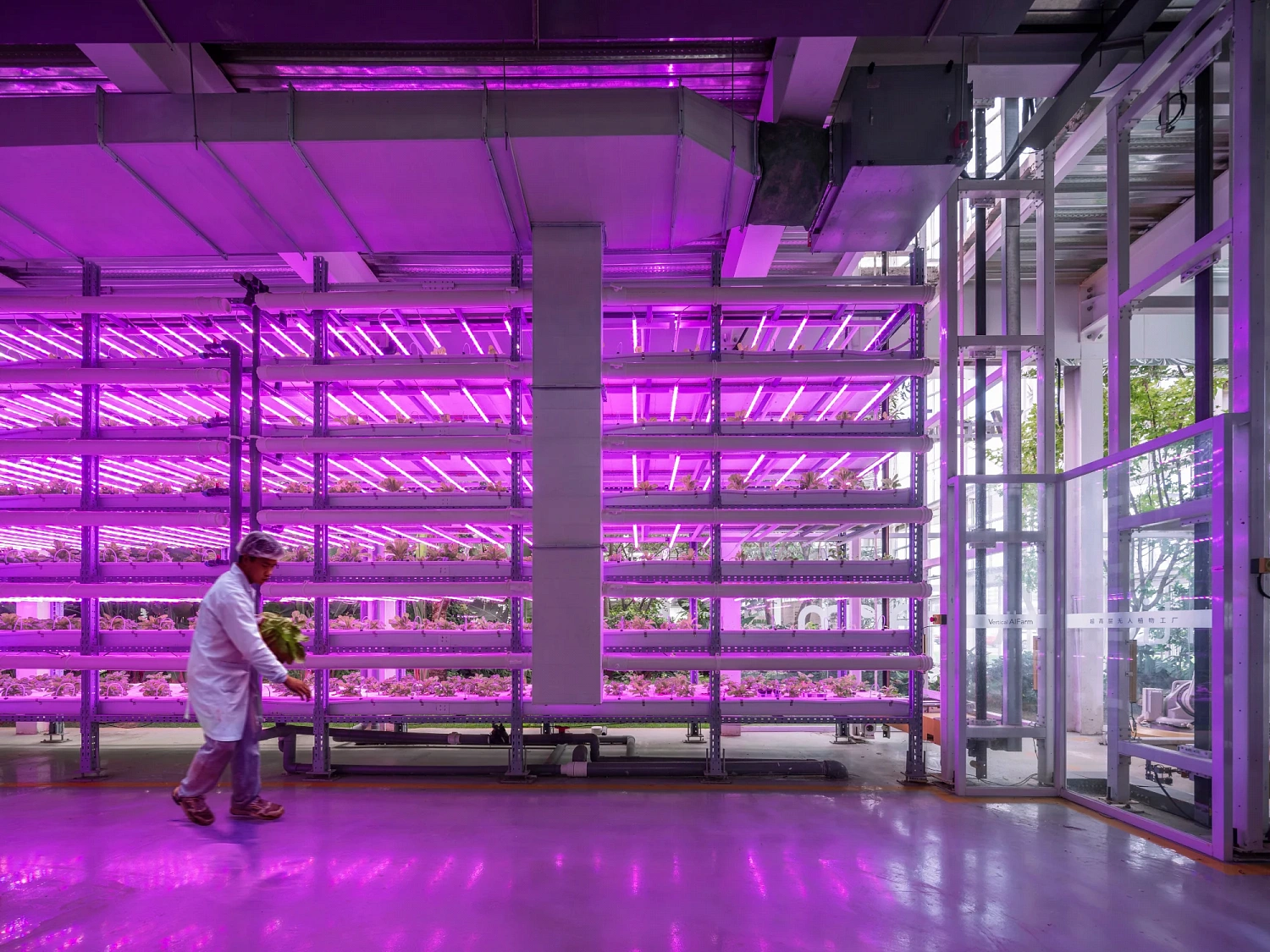 Пекинская вертикальная ферма